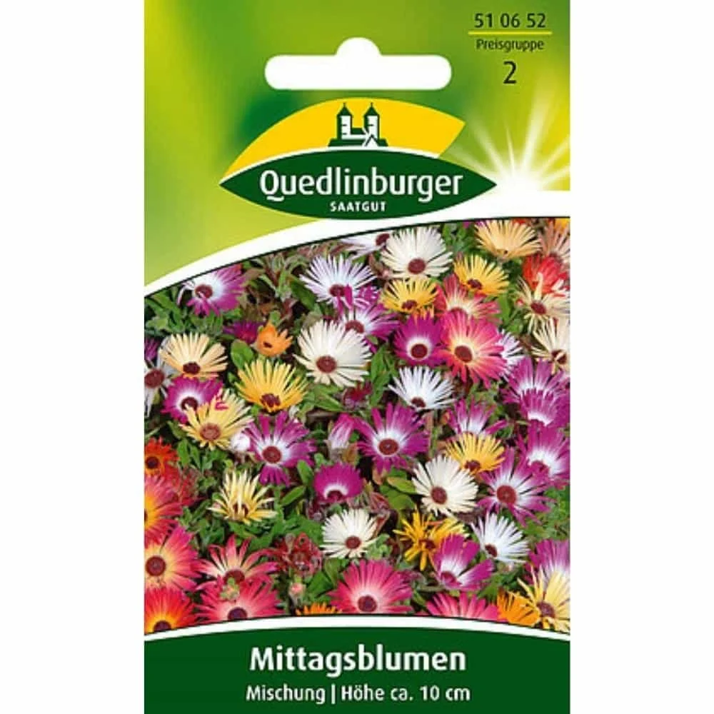 "Mittagsblume, Mischung image"