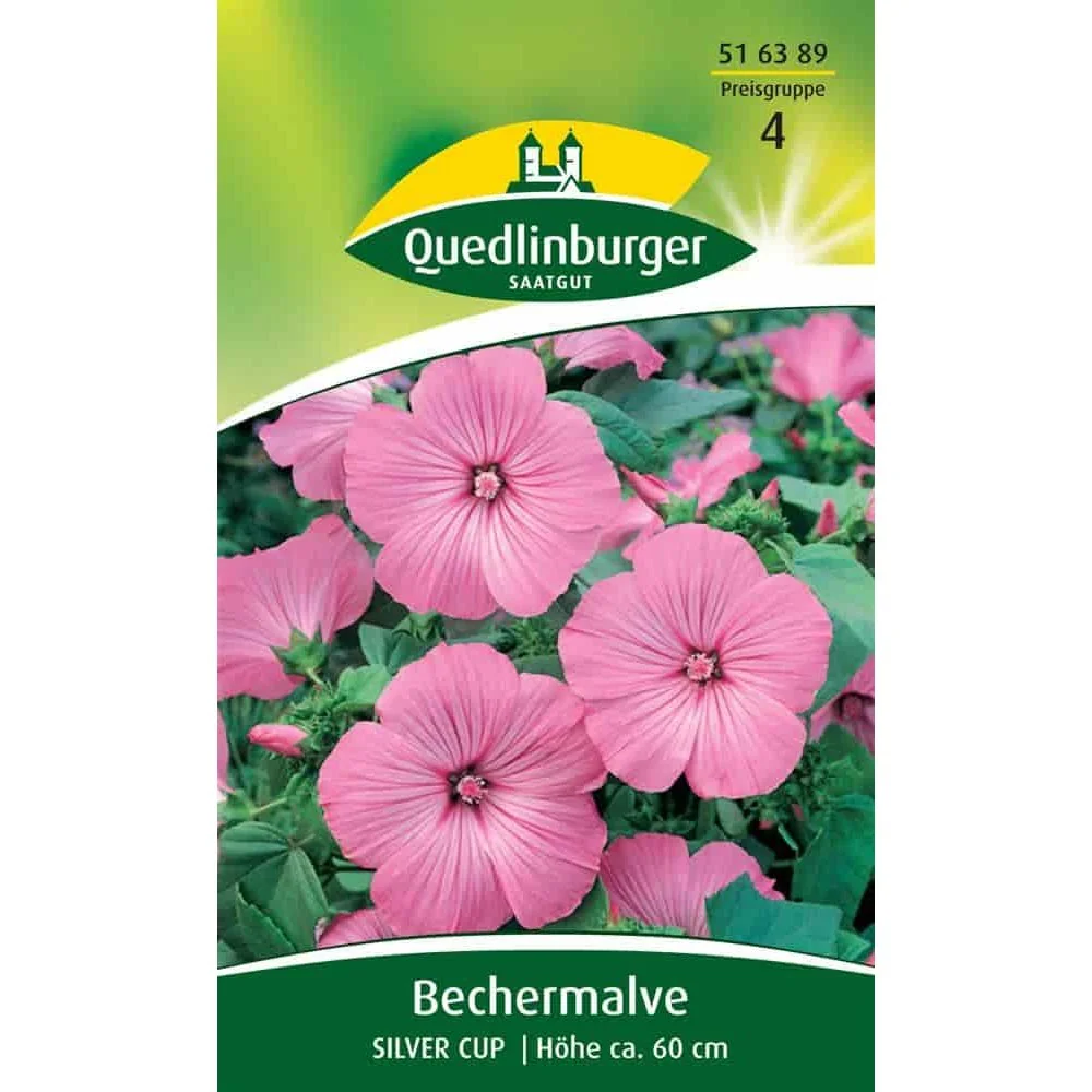 "Bechermalve Silver Cup, rosa Sommerblume kaufen image"