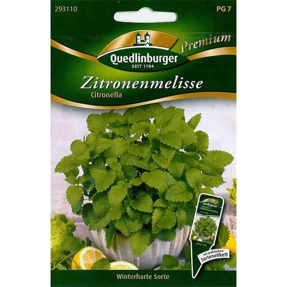 "Zitronenmelisse, Zitronenmelisse Pflanzen, Citronella Pflanze, mehrjährige Kräuter image"