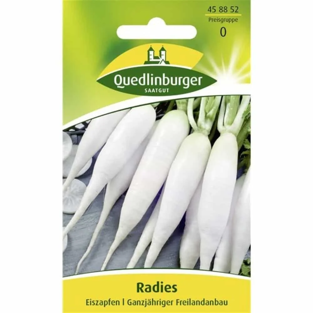 "Radies, Eiszapfen image"
