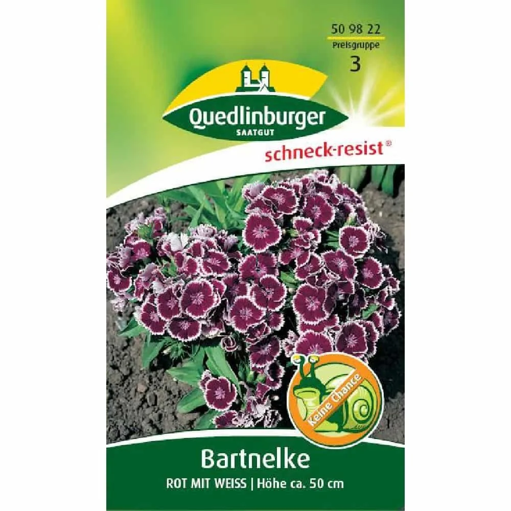 "Bartnelke Samen, Rot-Weiße Nelken, Zweijährig image"