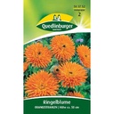 Ringelblume säen, Orangestrahlen, Sommerblume orange, Boni