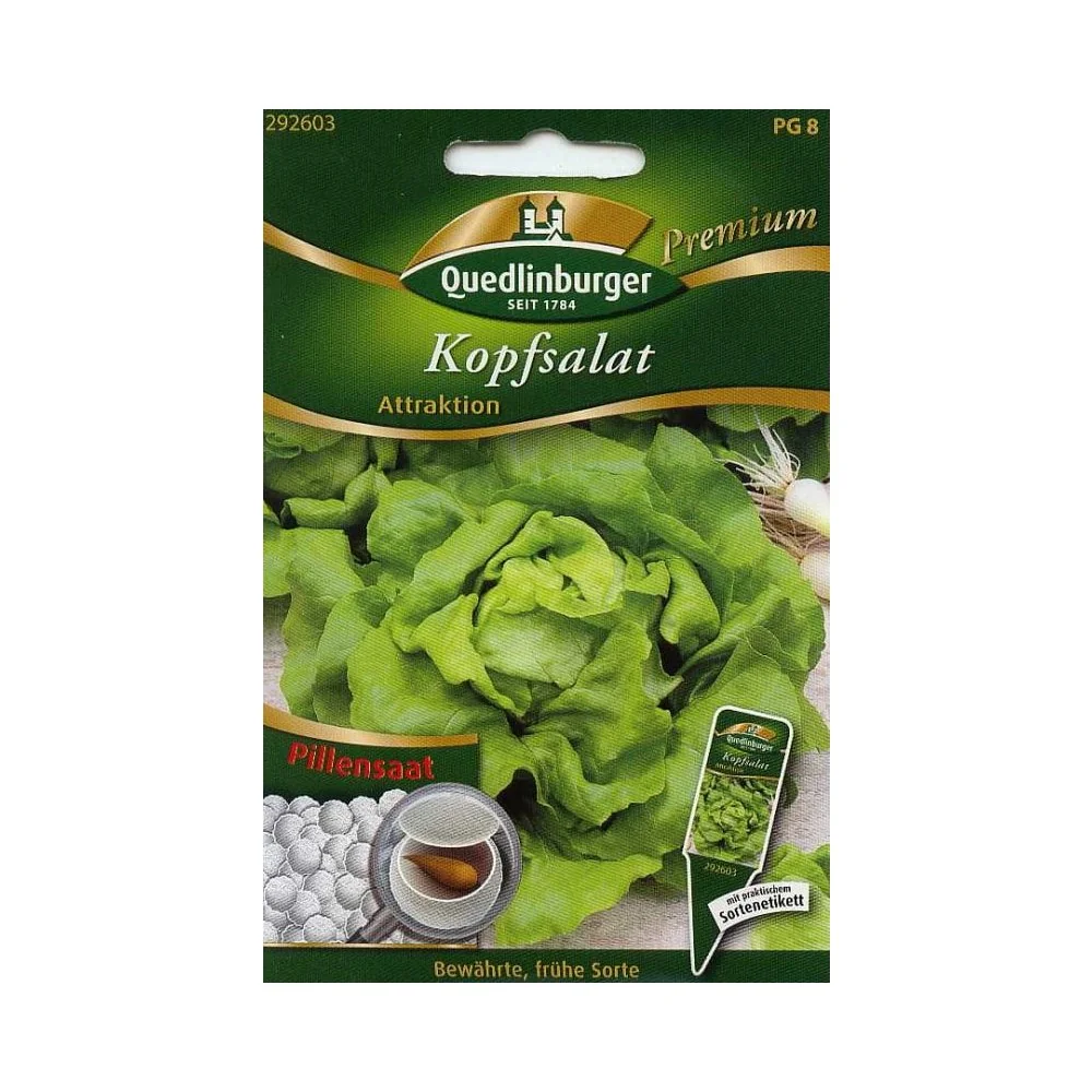 "Pille Kopfsalat, Attraktion image"
