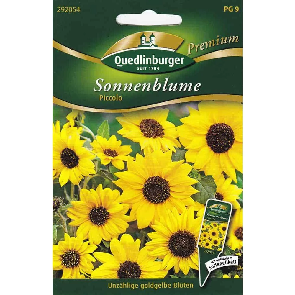 "Sonnenblumen, Piccolo image"
