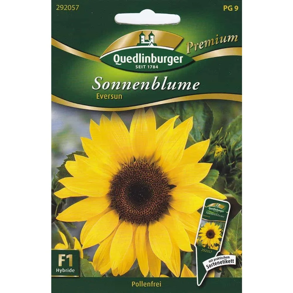 "Sonnenblumen, Eversun, pollenfrei, einjährig, Vasenschnitt image"