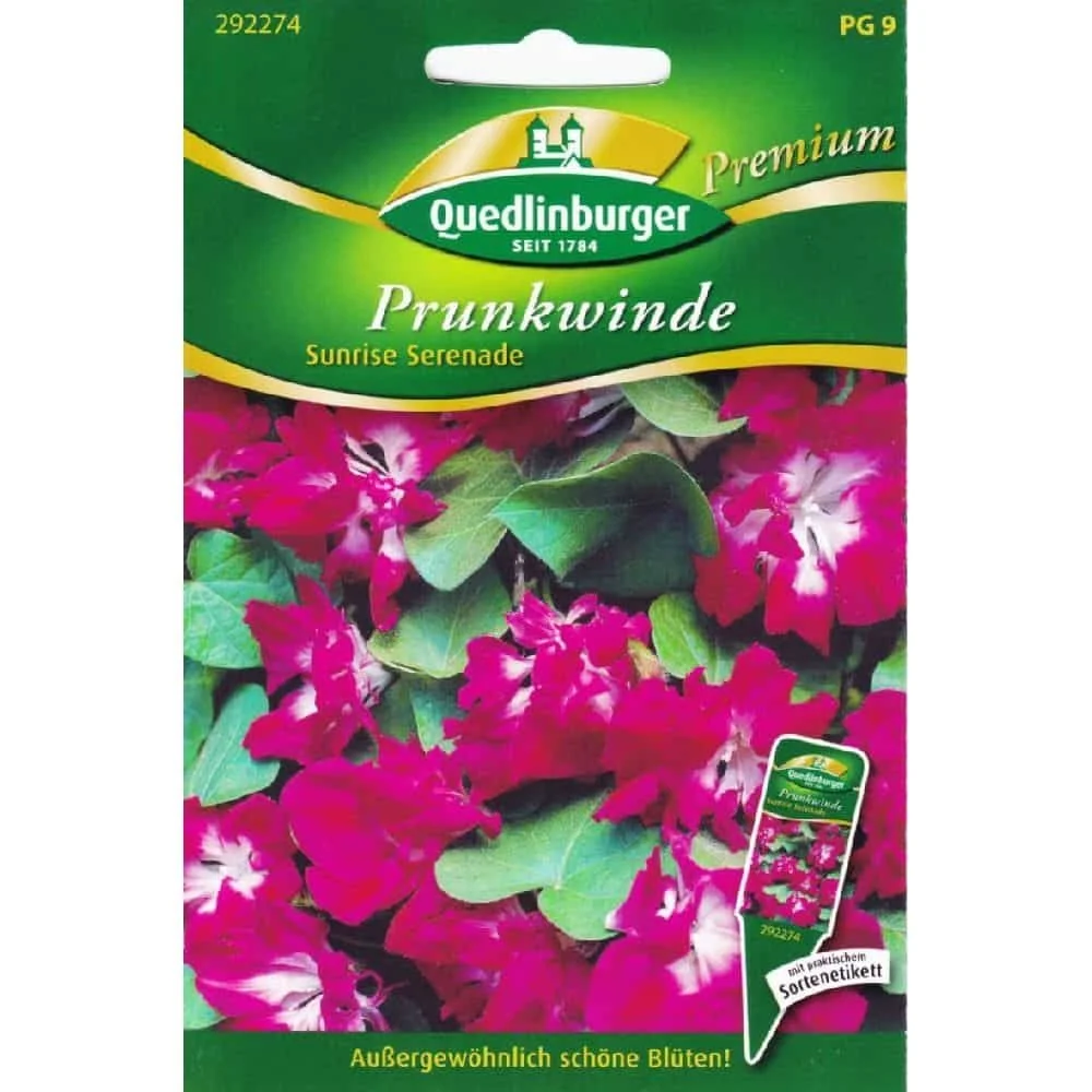 "Prunkwinde Samen, Kletterpflanze schnellwachsend, Sunrise Serenade image"