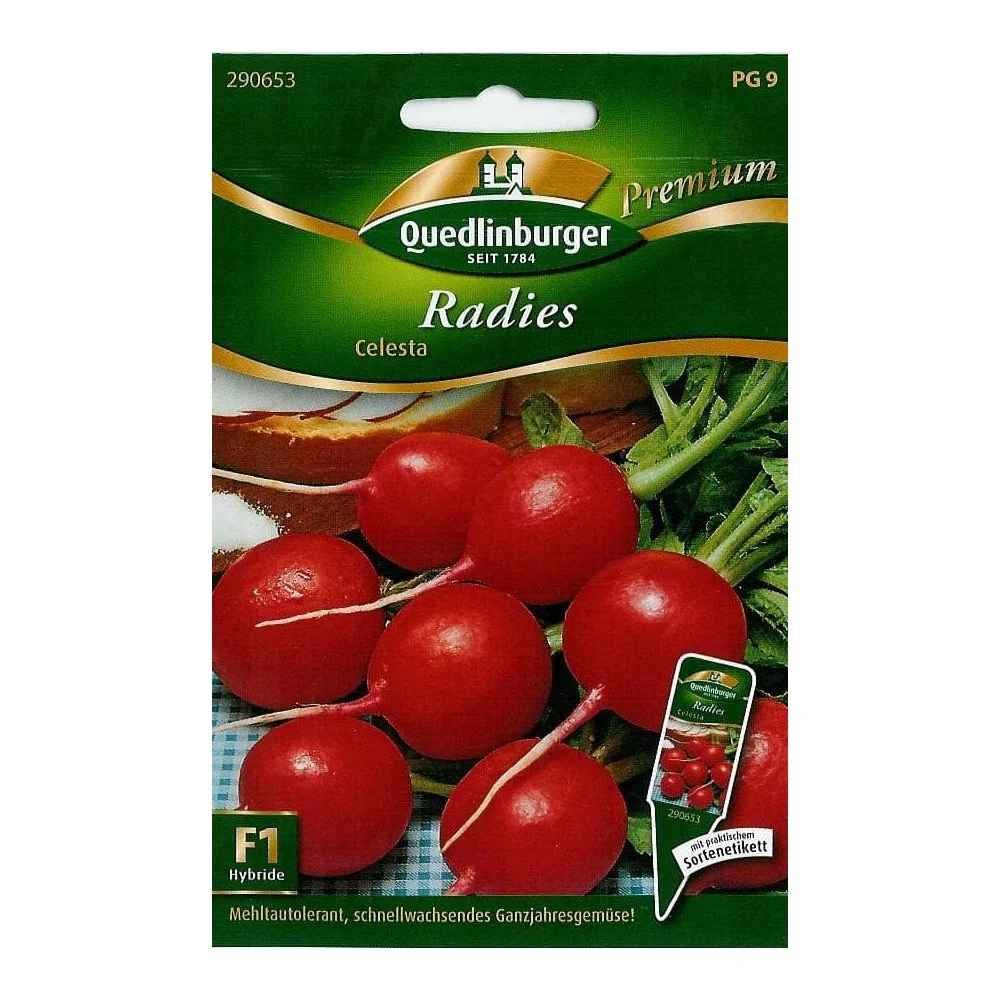 "Radieschen Celesta Samen, Radieschen kaufen image"