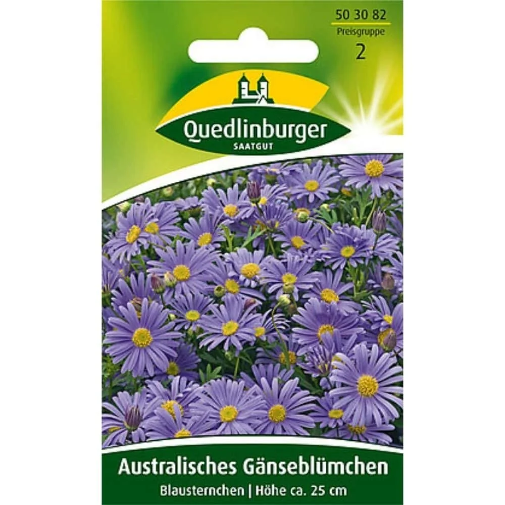"Australisches Gänseblümchen, Blausternchen image"