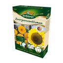Anzucht-Set Zwergsonnenblumen, Sonnenblumen Samen