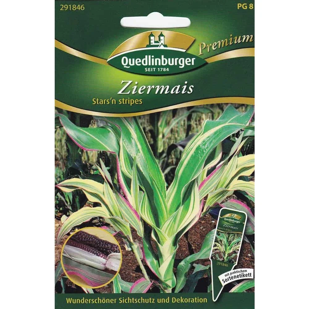 "Ziermais Stars & Stripes, Zierpflanze für Herbstdeko image"