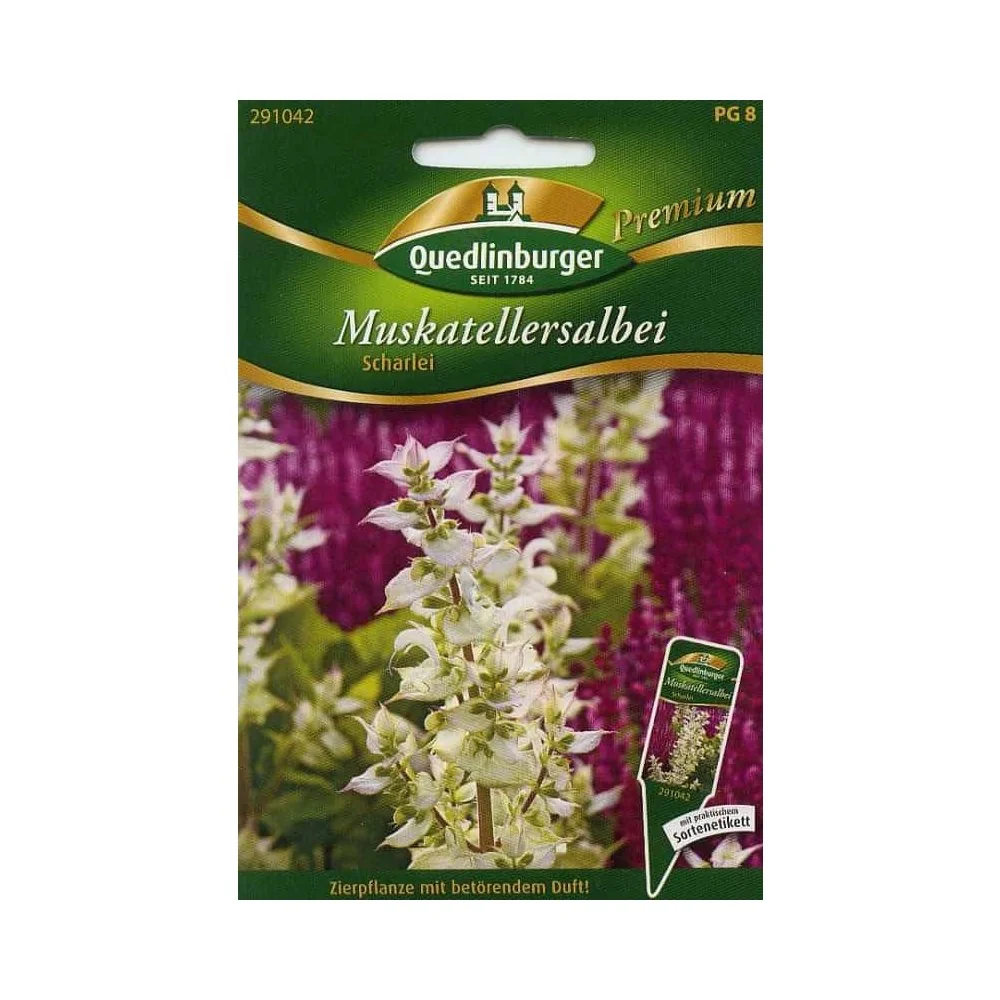 "Muskatellersalbei kaufen, Salbei image"