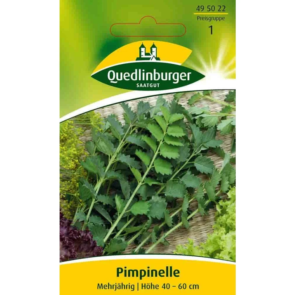 "Pimpinelle kaufen, Samen, mehrjährig, pflegeleicht image"