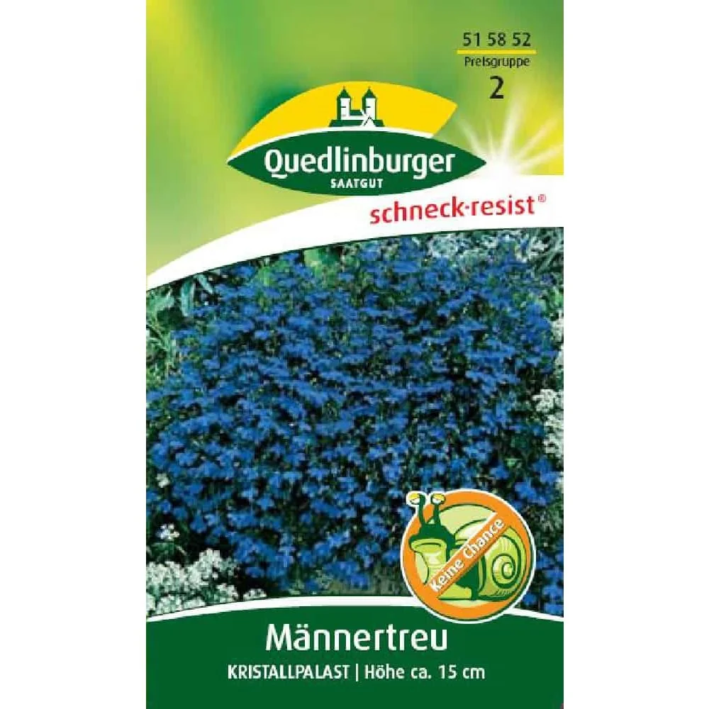 "Männertreu kaufen, blaue Sommerblume, Lobelia Kristallpalast image"