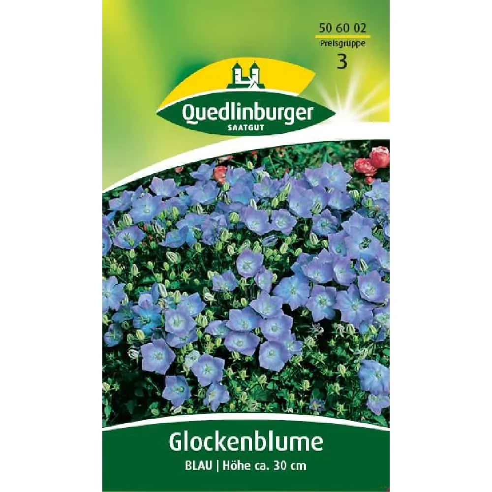 "Glockenblume, Blau image"