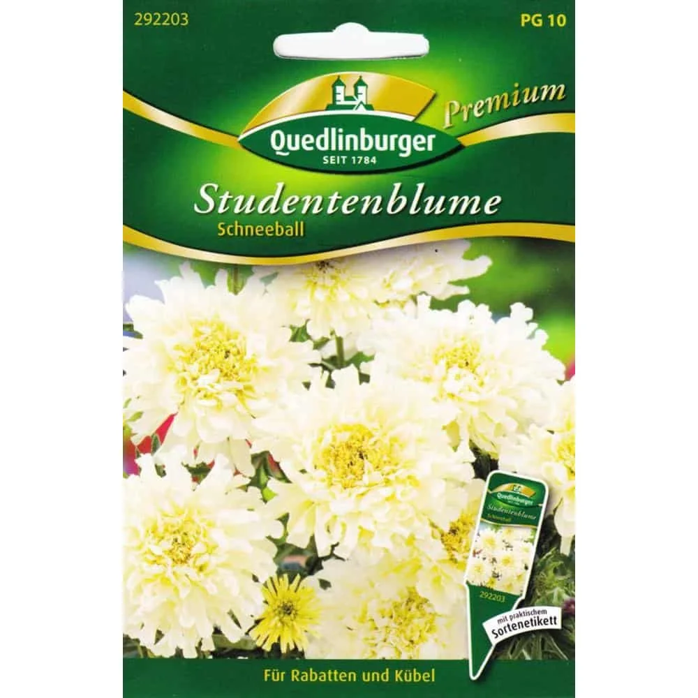 "Studentenblumen, Schneeball image"
