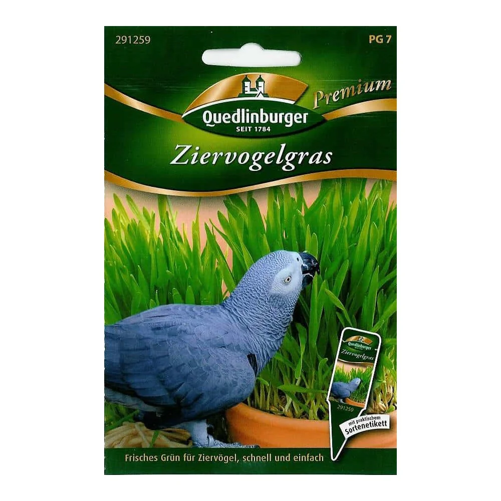 "Ziervogelgras image"