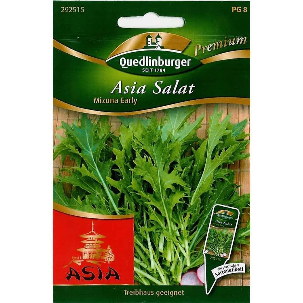 "Asiasalat, Mizuna Salat, Salatsamen, Blattgemüse, Early image"