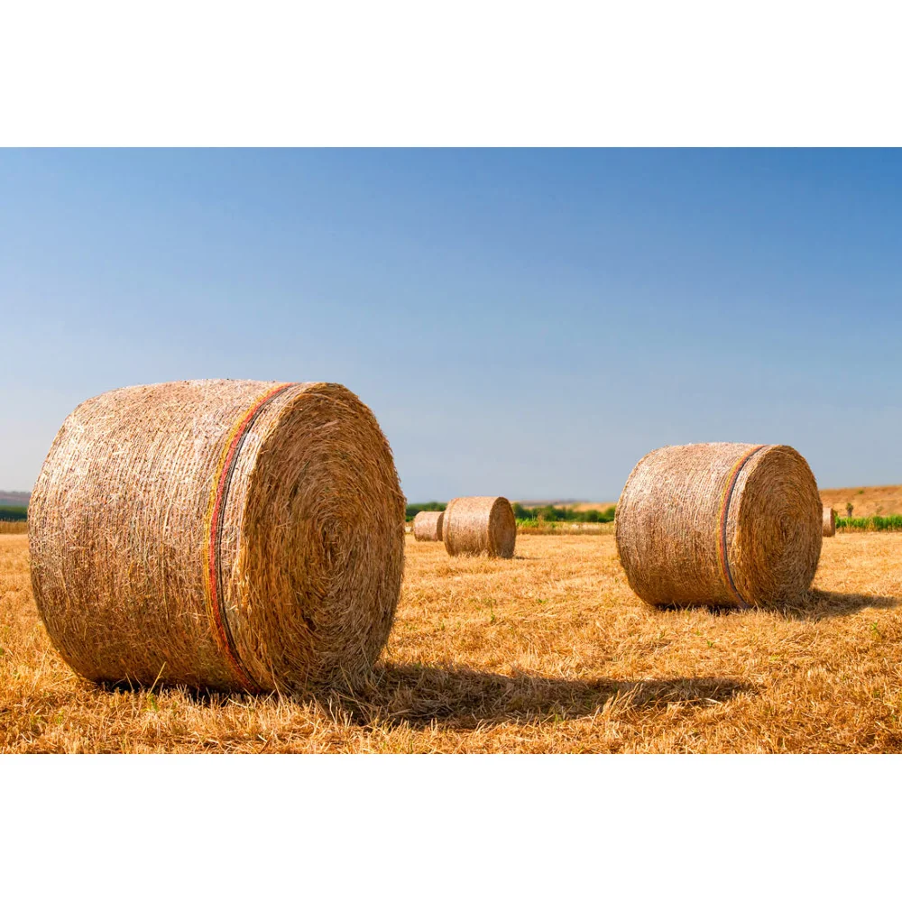 "Rundballennetz 1,25 x 3000m Polywrap Premium image"