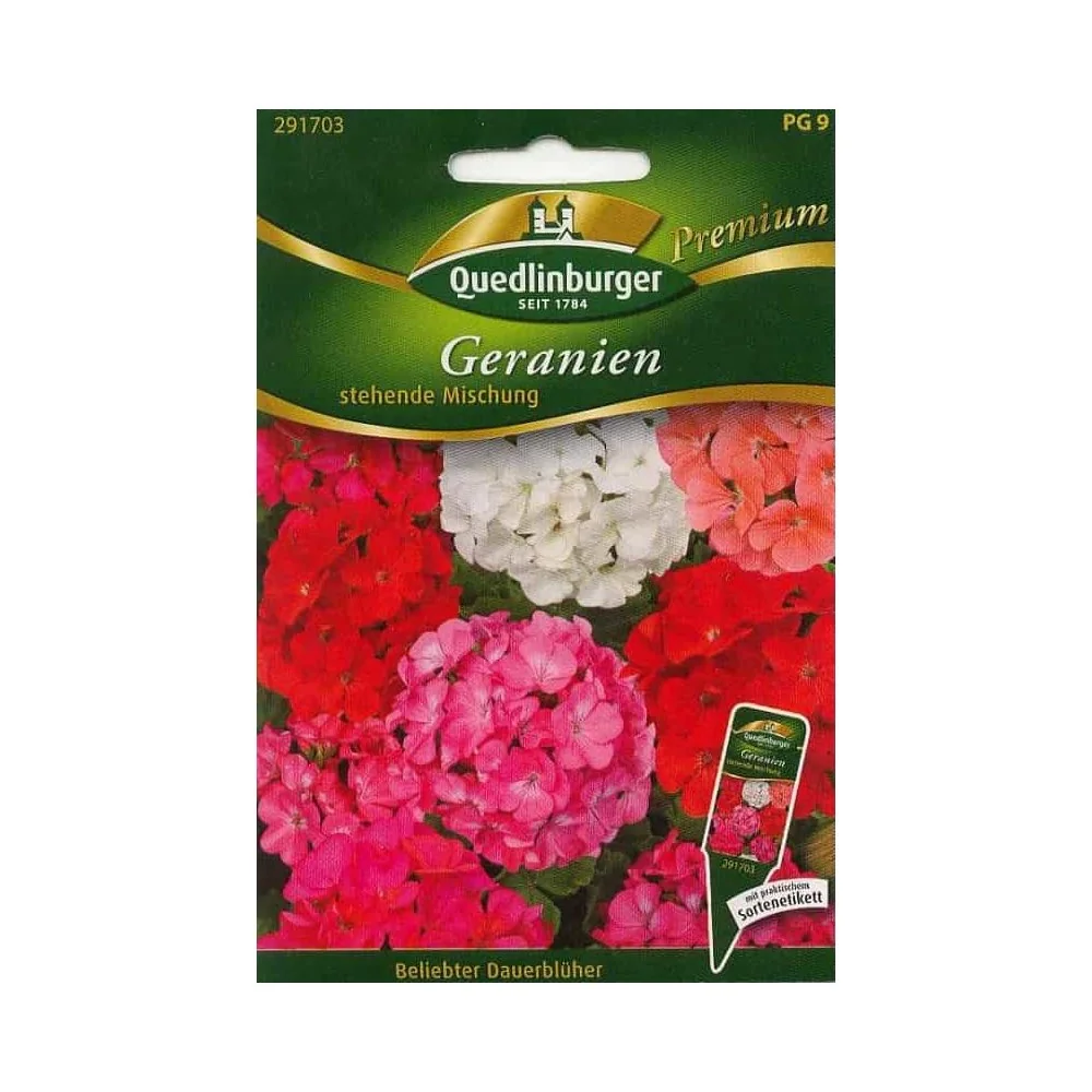 "Geranien, stehende Mischung image"