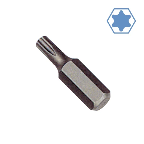 "Innensechskant Bit T40, S2 Stahl, 30mm, Werkzeug Bit image"